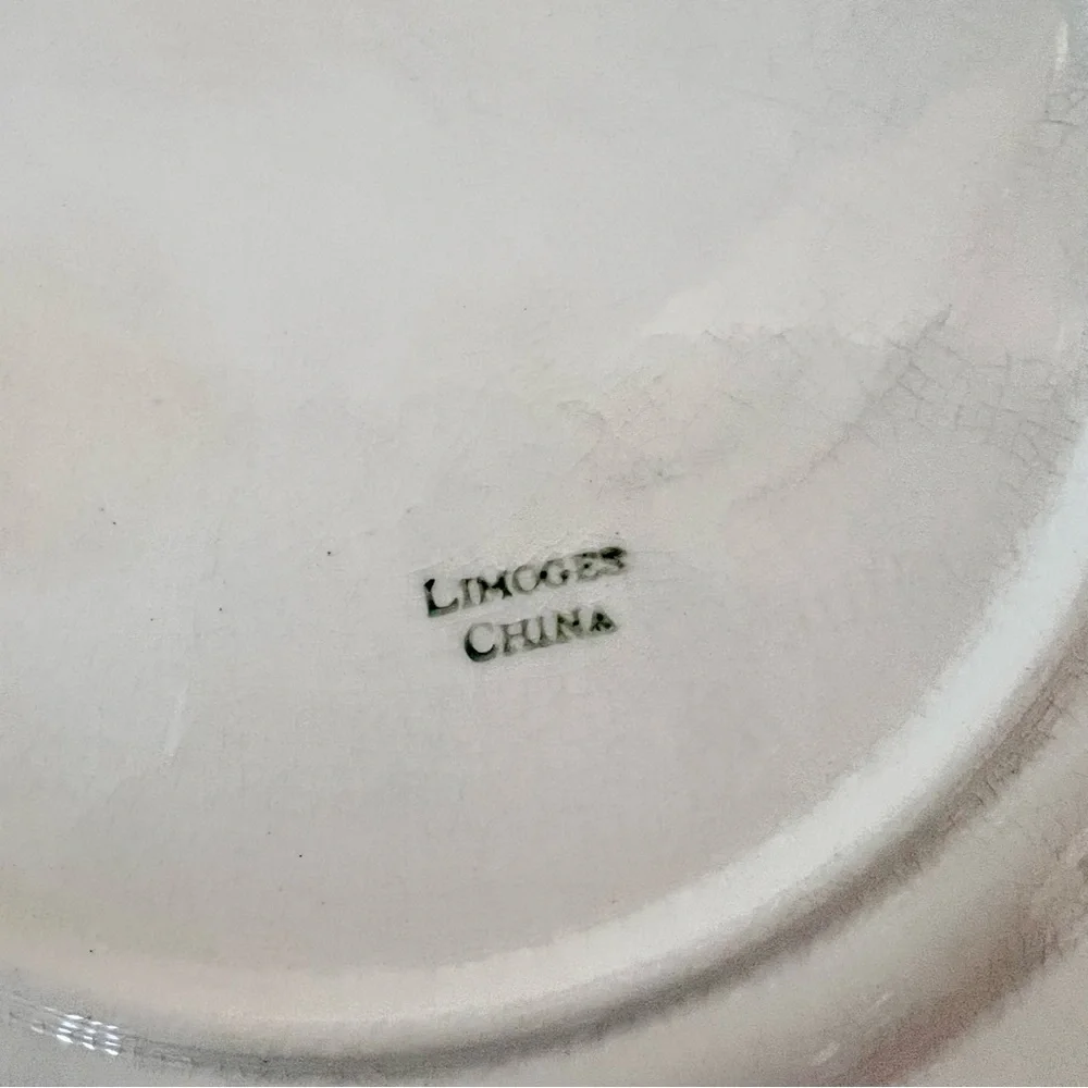 Rare Antique Limoges‎ France Hand painted Watermelon Color Apple Plate 10”